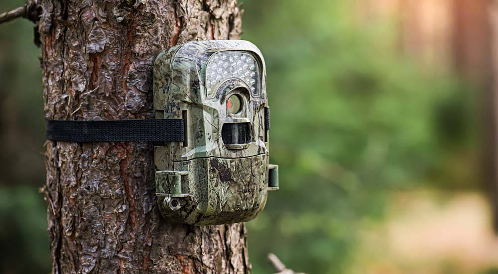 Wildcamera kopen Wildcamera kopen