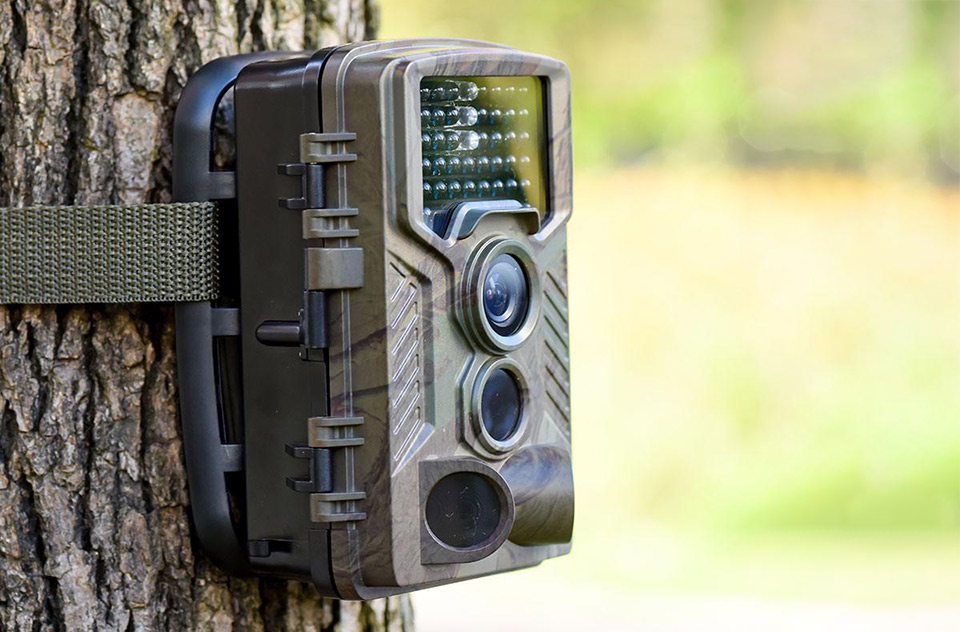 Praktische tips voor het gebruik van een wildcamera Praktische tips voor het gebruik van een wildcamera