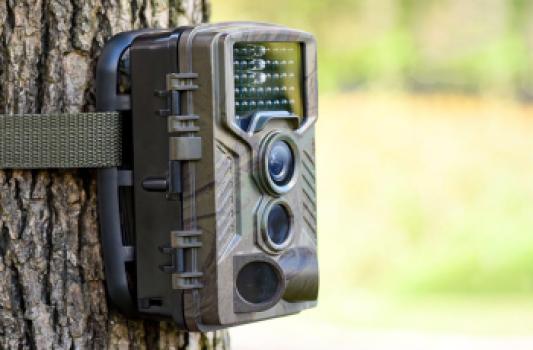 Praktische tips voor het gebruik van een wildcamera