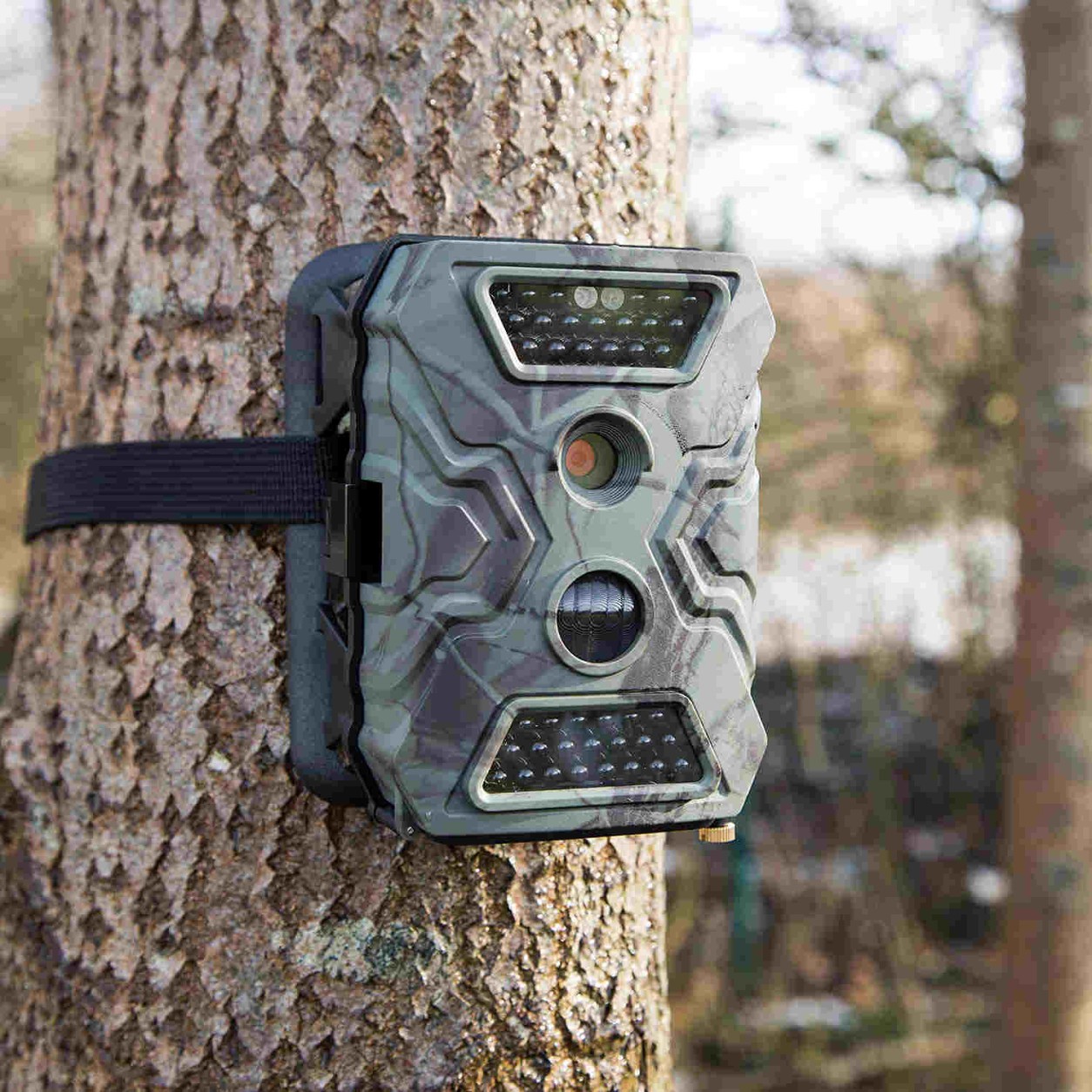 Aldi wildcamera - Goede keus of slechte keus? | WildcameraKopen.nl