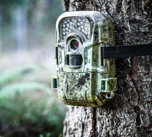 Keuze criteria wildcamera Keuze criteria wildcamera