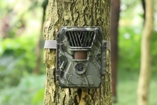 Low glow of No glow wildcamera?