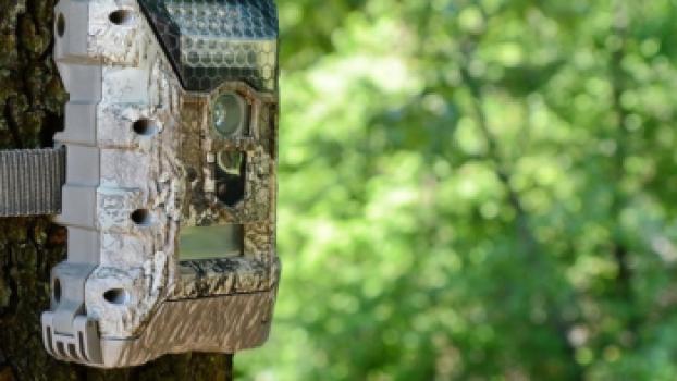 Technische aspecten van een wildcamera