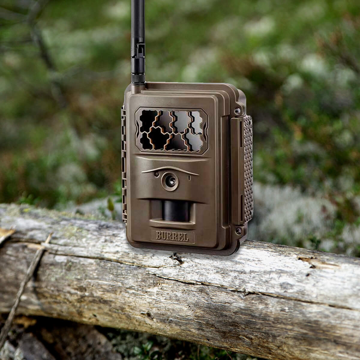 De beste wildcamera’s van 2024 voor het vastleggen van de natuurlijke wereld De beste wildcamera’s van 2024 voor het vastleggen van de natuurlijke wereld