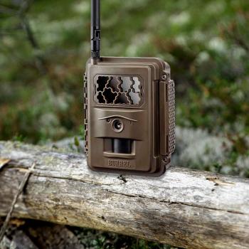 De beste wildcamera’s van 2024 voor het vastleggen van de natuurlijke wereld