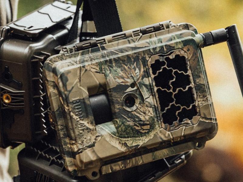 praktische tips wildcamera praktische tips wildcamera