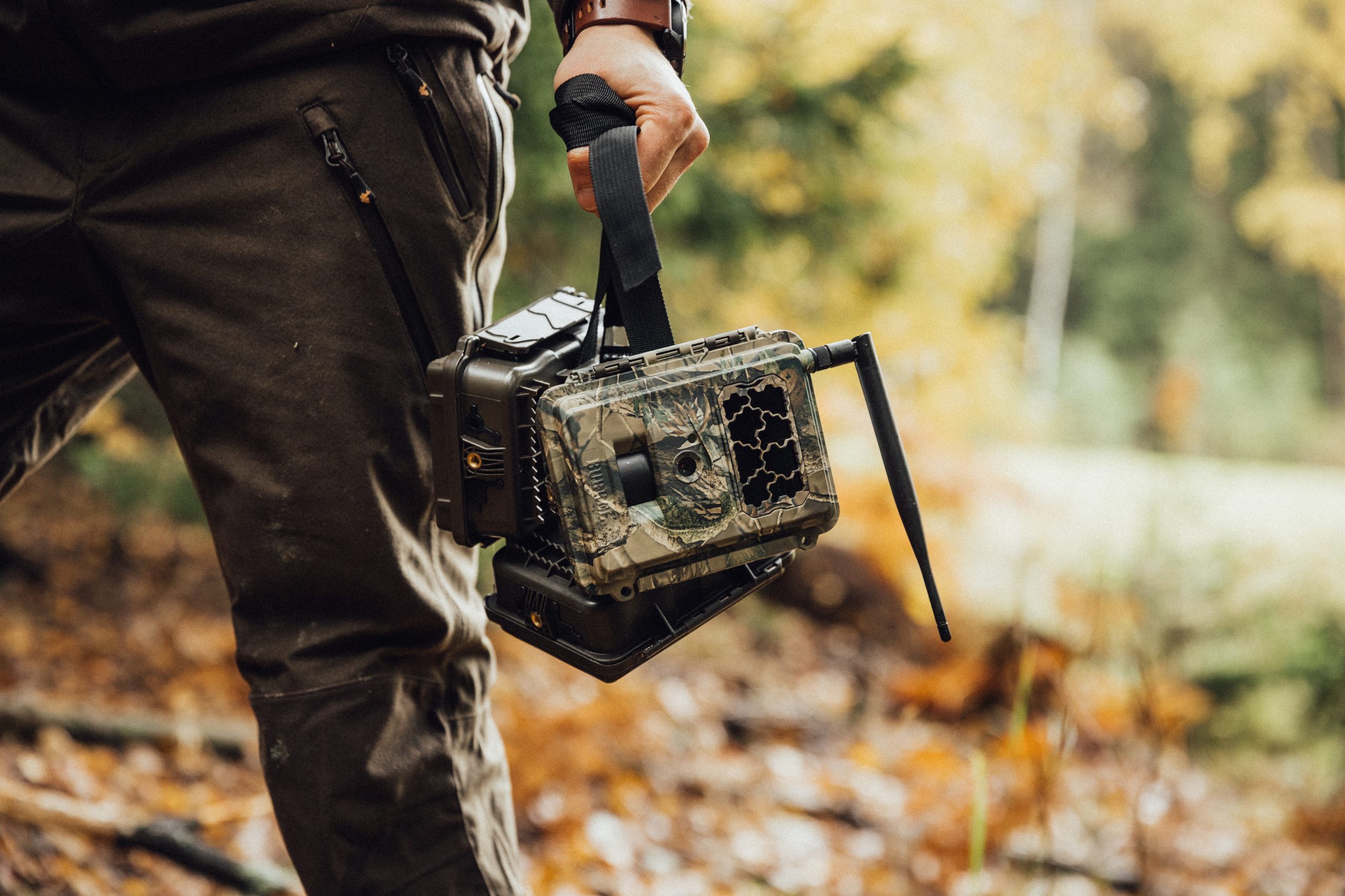 de wildcamera specialist van Nederland en belgië de wildcamera specialist van nederland en belgie