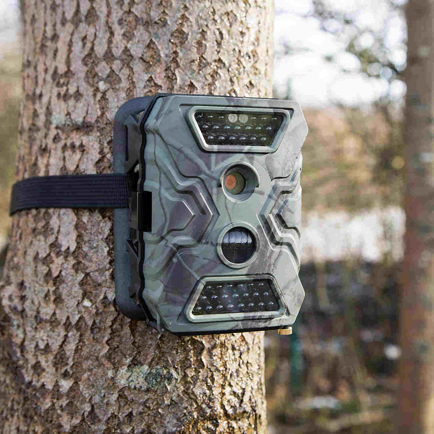GSM Wildcamera GSM Wildcamera