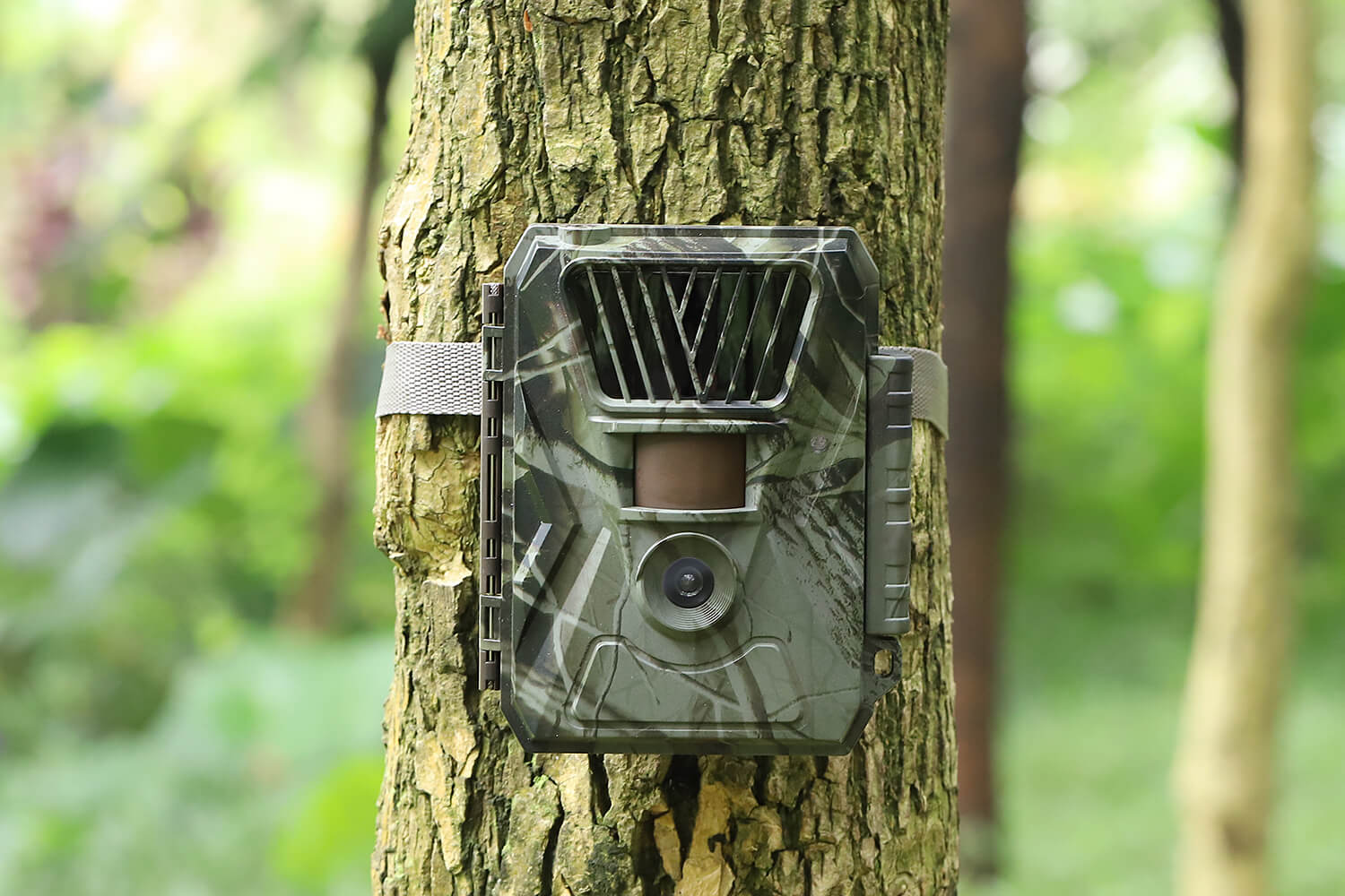 goedkope wildcamera